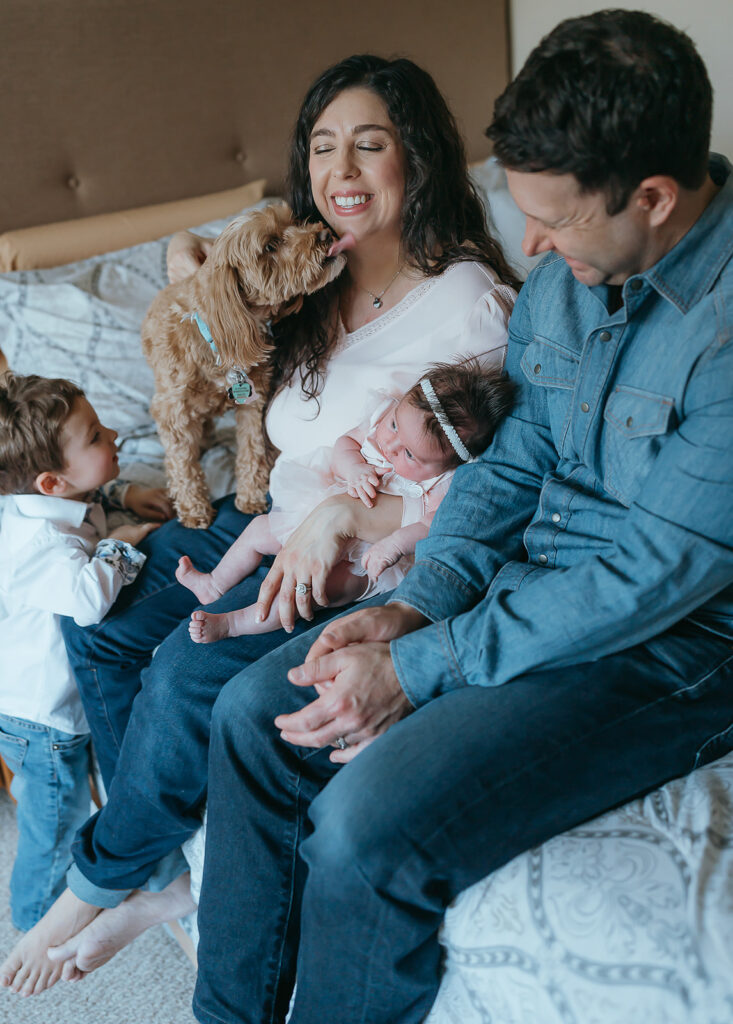 New York City in home newborn lifestyle photo session with toddler sibling and dog. 