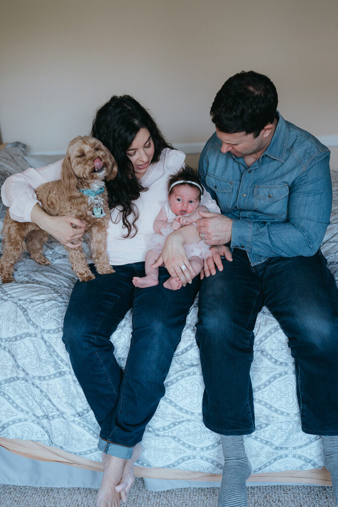 New York City in home newborn lifestyle photo session with toddler sibling and dog. 