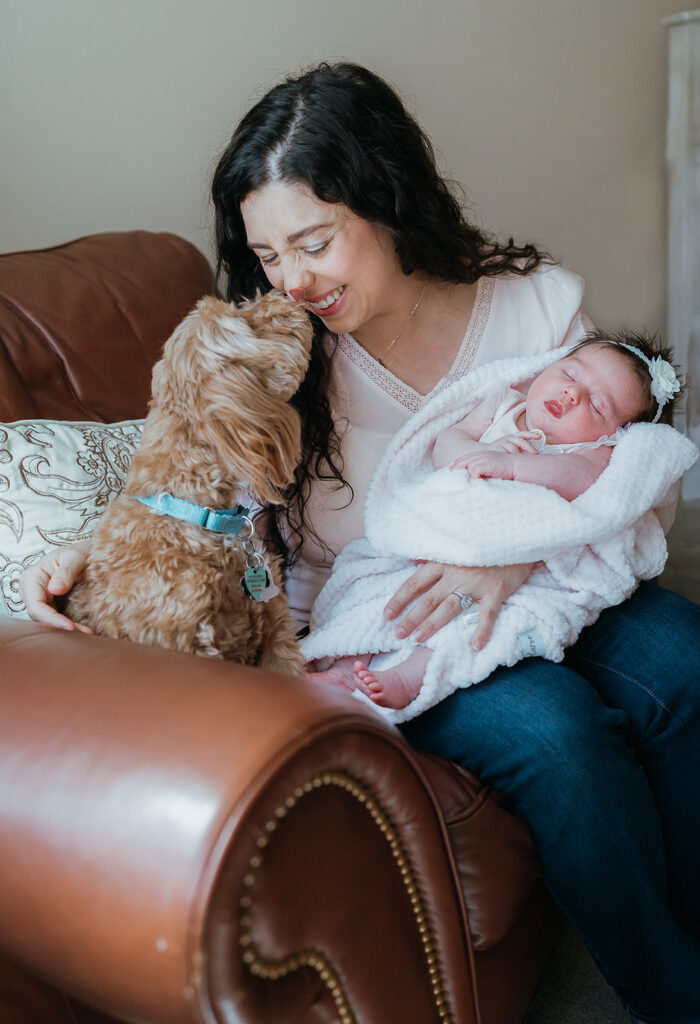 New York City in home newborn lifestyle photo session with family dog. 