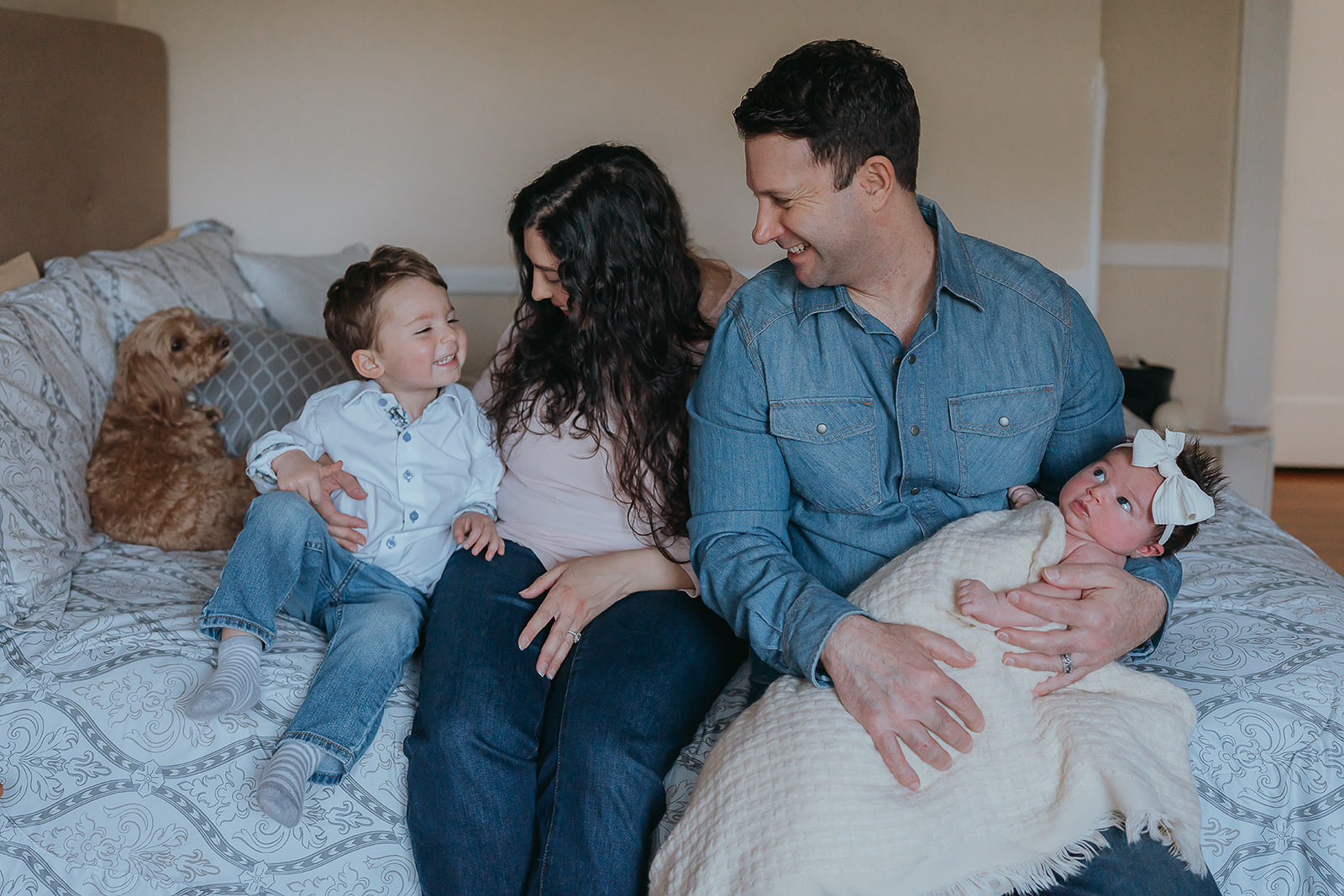 In-home lifestyle newborn session with mom, dad, toddler, infant and dog sitting on the bed and laughing.